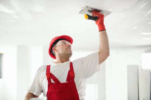  Falmouth, VA Dry wall and painting Pros