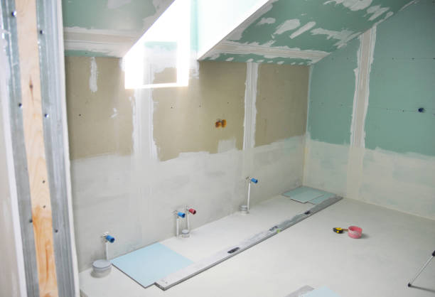 Best Drywall Removal and Disposal  in Falmouth, VA